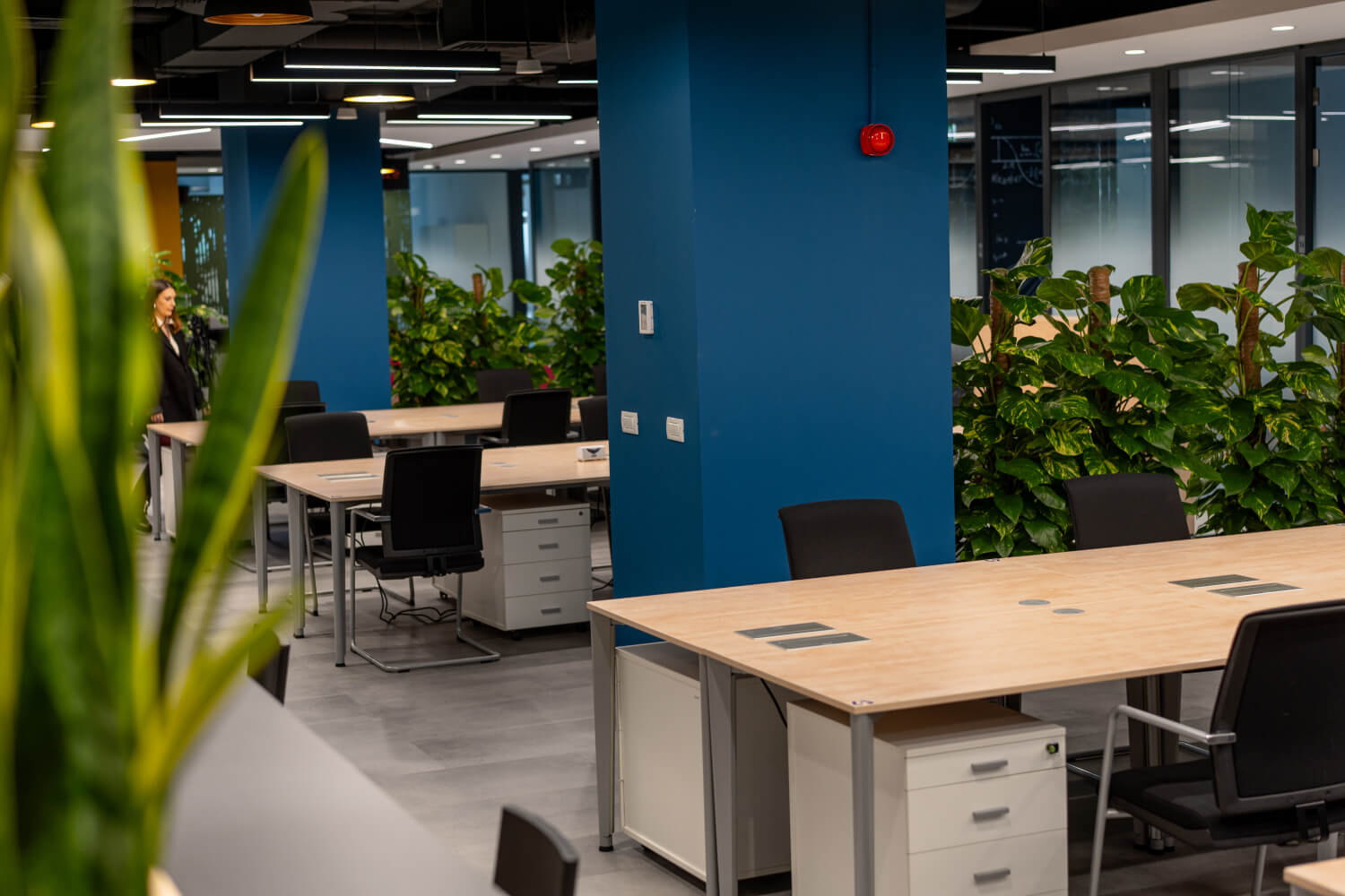 Close-up of office desks and plants